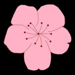 WWW,5252se·COM网站APPAPP应用