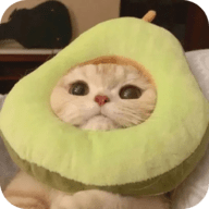 女孩破门视频APP